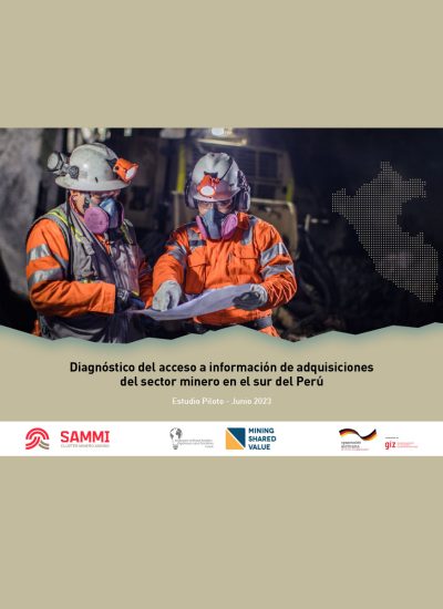 Diagnóstico del acceso a información de adquisiciones del sector minero en el sur del Perú